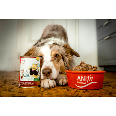 Hond Accessories Natvoer Zum Goldenen Ochsen 200g 6 Stuk -5- Anifit